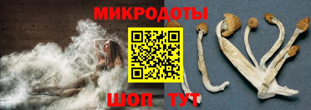 Псилоцибиновые грибы Psilocybine cubensis  Галлюциногенные грибы MAGIC MUSHROOMS  Петропавловск-Камчатский  купить   Вход с VPN 