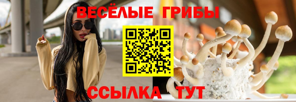 Галлюциногенные грибы Psilocybe Петропавловск-Камчатский